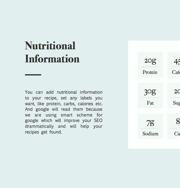 Netuno - Tema para blogueiros e chefs de receitas de comida - 6